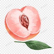 亚洲精品TVAPP应用